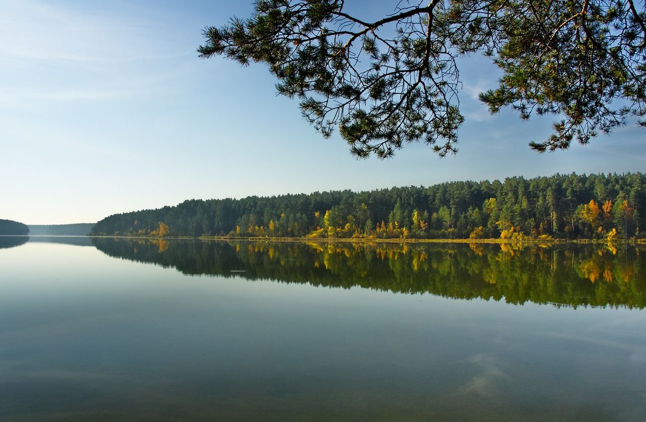 Верхняя сысерть. Сысерть водохранилище. Верхняя Сысерть пруд. Сысертское водохранилище Сысерти. Сысертский пруд Сысерть.