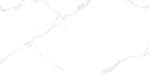 Керамическая плитка Elemento bianco carrara WT9ELT00 25x50