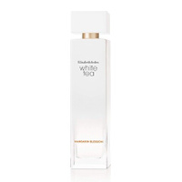 Elizabeth Arden Modern Spray Perfume for Women 3.3 Fl Oz