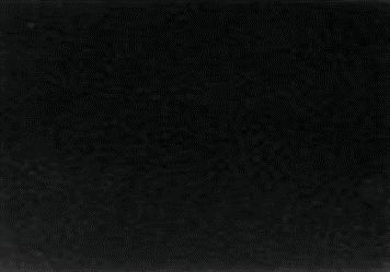 Гранит Absolut Black polish (Индия) 600*300*15