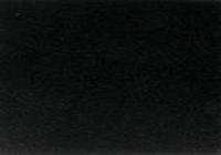 Гранит Absolut Black polish (Индия) 600*300*15