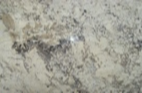 Гранит White Delicatus slabs 30 mm