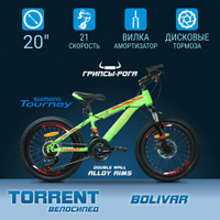 Велосипед TORRENT Bolivar (рама сталь 10", подростковый, 21 скорость, колеса 20д.) Torrent