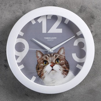 Часы настенные, серия Животный мир, 'Кот', d29 см, белый обод