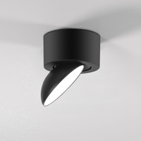 Потолочный светодиодный светильник Elektrostandard smooth черный 25053/led