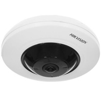 IP камера Hikvision DS-2CD2955FWD-I