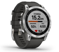 Смарт-часы Garmin Fenix7Silver/Grey