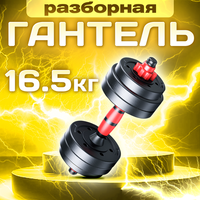 Гантель титан разборная для фитнеса 1 шт. по 16.5 кг TITAN